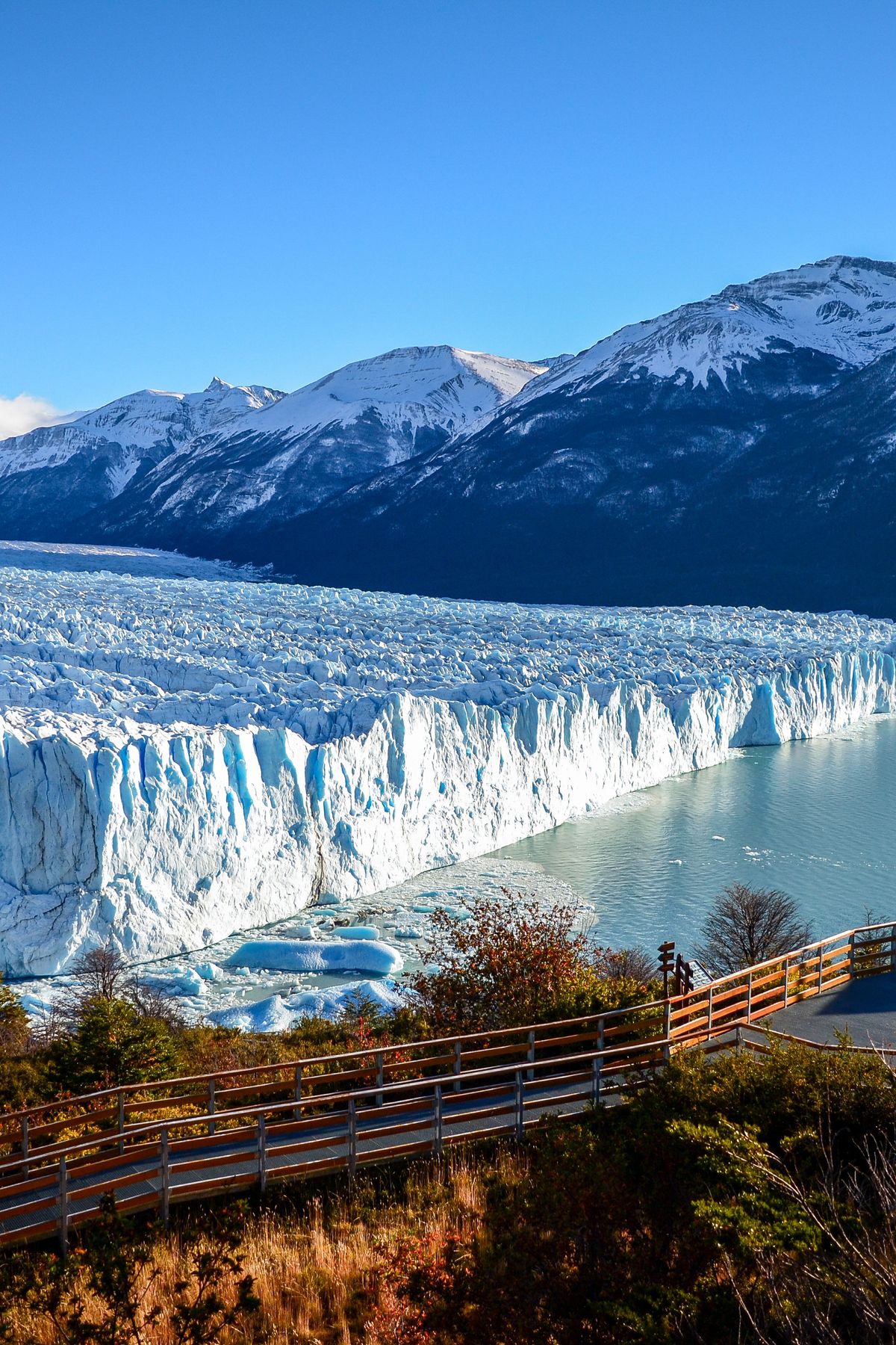 Calafate