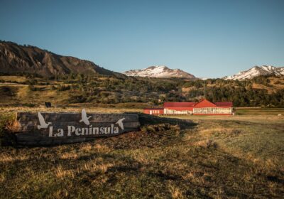 Full Day Estancia Baguales y Sobrevuelo Glaciares