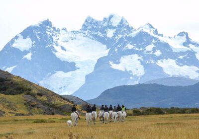 Glaciares , Cerro Ballena y Estancia Peninsula