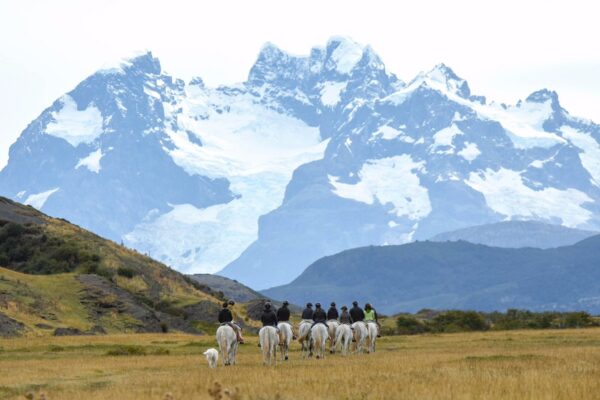 Glaciares , Cerro Ballena y Estancia Peninsula