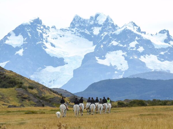 Glaciares , Cerro Ballena y Estancia Peninsula